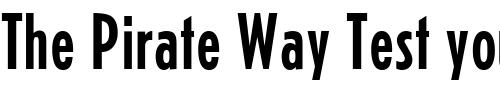 Font : Erbar-Regular Custom Text : The Pirate Way Test your own text here Click to download or to view this font on a tshirt that can be custom printed in Bali