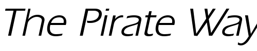 Font : Ergoe-Italic Custom Text : The Pirate Way Test your own text here Click to download or to view this font on a tshirt that can be custom printed in Bali