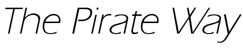 Font : ErgoeLight-Italic Custom Text : The Pirate Way Test your own text here Click to download or to view this font on a tshirt that can be custom printed in Bali