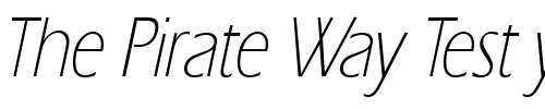 Font : ErgoeLightCond-Italic Custom Text : The Pirate Way Test your own text here Click to download or to view this font on a tshirt that can be custom printed in Bali
