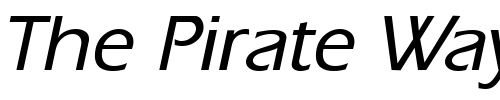 Font : ErgoeMedium-Italic Custom Text : The Pirate Way Test your own text here Click to download or to view this font on a tshirt that can be custom printed in Bali