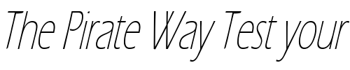 Font : Eric-Lite-Thin-Italic Custom Text : The Pirate Way Test your own text here Click to download or to view this font on a tshirt that can be custom printed in Bali