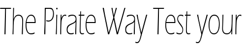 Font : Eric-Lite-Thin-Normal Custom Text : The Pirate Way Test your own text here Click to download or to view this font on a tshirt that can be custom printed in Bali