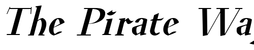 Font : Euroika-BoldItalic Custom Text : The Pirate Way Test your own text here Click to download or to view this font on a tshirt that can be custom printed in Bali