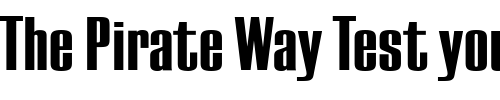 Font : EuropaGrotesqueExtraBold Custom Text : The Pirate Way Test your own text here Click to download or to view this font on a tshirt that can be custom printed in Bali