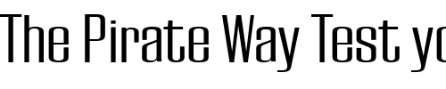Font : EuropaGrotesqueLight Custom Text : The Pirate Way Test your own text here Click to download or to view this font on a tshirt that can be custom printed in Bali