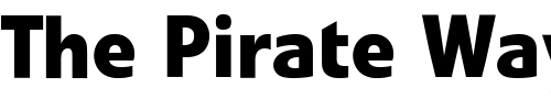 Font : Evo-fett Custom Text : The Pirate Way Test your own text here Click to download or to view this font on a tshirt that can be custom printed in Bali