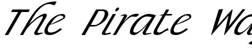 Font : FZ-BASIC-15-ITALIC Custom Text : The Pirate Way Test your own text here Click to download or to view this font on a tshirt that can be custom printed in Bali