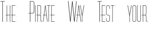 Font : FZ-BASIC-27 Custom Text : The Pirate Way Test your own text here Click to download or to view this font on a tshirt that can be custom printed in Bali