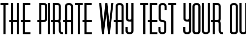 Font : FZ-BASIC-40 Custom Text : The Pirate Way Test your own text here Click to download or to view this font on a tshirt that can be custom printed in Bali