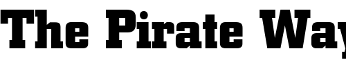 Font : FZ-BASIC-53 Custom Text : The Pirate Way Test your own text here Click to download or to view this font on a tshirt that can be custom printed in Bali