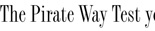 Font : Fashion-Compressed-LET-Plain-1 Custom Text : The Pirate Way Test your own text here Click to download or to view this font on a tshirt that can be custom printed in Bali