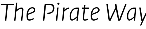 Font : Fedra-Sans-Light-Italic Custom Text : The Pirate Way Test your own text here Click to download or to view this font on a tshirt that can be custom printed in Bali