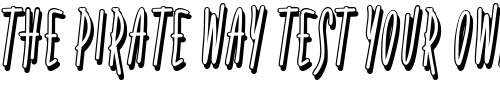 Font : Fidelity-Hour-BTN-Shadow Custom Text : The Pirate Way Test your own text here Click to download or to view this font on a tshirt that can be custom printed in Bali