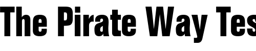 Font : FoldMdrnConDB-Normal Custom Text : The Pirate Way Test your own text here Click to download or to view this font on a tshirt that can be custom printed in Bali