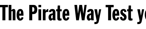 Font : Franklin-Extra-Cond Custom Text : The Pirate Way Test your own text here Click to download or to view this font on a tshirt that can be custom printed in Bali