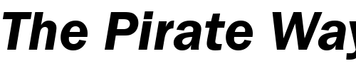 Font : Franklin-Gothic-Demi-Italic Custom Text : The Pirate Way Test your own text here Click to download or to view this font on a tshirt that can be custom printed in Bali