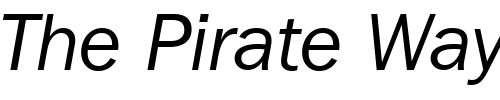 Font : Franklin-Gothic-ITC-Book-Italic-BT Custom Text : The Pirate Way Test your own text here Click to download or to view this font on a tshirt that can be custom printed in Bali
