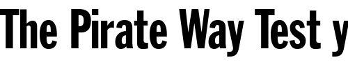 Font : Franklin-Gothic-LT-Extra-Condensed Custom Text : The Pirate Way Test your own text here Click to download or to view this font on a tshirt that can be custom printed in Bali