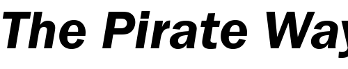 Font : FranklinGotItcTEEDem-Italic Custom Text : The Pirate Way Test your own text here Click to download or to view this font on a tshirt that can be custom printed in Bali