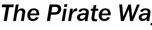 Font : FranklinGothMediumCTT-Italic Custom Text : The Pirate Way Test your own text here Click to download or to view this font on a tshirt that can be custom printed in Bali