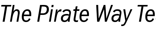 Font : FranklinGothicCond-Italic Custom Text : The Pirate Way Test your own text here Click to download or to view this font on a tshirt that can be custom printed in Bali