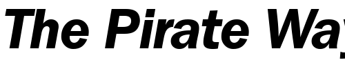 Font : FranklinGothicNew-BoldItalic Custom Text : The Pirate Way Test your own text here Click to download or to view this font on a tshirt that can be custom printed in Bali