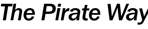 Font : FranklinGothicNewMedium-RegularItalic Custom Text : The Pirate Way Test your own text here Click to download or to view this font on a tshirt that can be custom printed in Bali