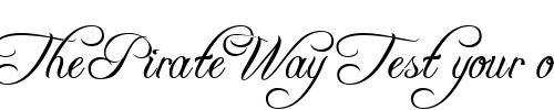 Font : FreeScript-DEMO Custom Text : The Pirate Way Test your own text here Click to download or to view this font on a tshirt that can be custom printed in Bali