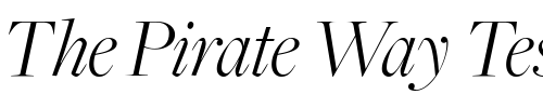 Font : FreightBigLightItalic Custom Text : The Pirate Way Test your own text here Click to download or to view this font on a tshirt that can be custom printed in Bali