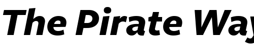 Font : FreightSans-BoldItalic Custom Text : The Pirate Way Test your own text here Click to download or to view this font on a tshirt that can be custom printed in Bali