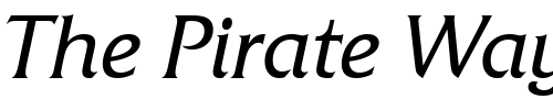Font : Friz-Quadrata-OS-TT-Italic Custom Text : The Pirate Way Test your own text here Click to download or to view this font on a tshirt that can be custom printed in Bali