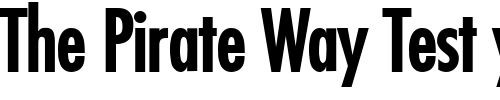 Font : Fuji-Bold Custom Text : The Pirate Way Test your own text here Click to download or to view this font on a tshirt that can be custom printed in Bali