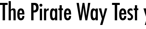 Font : Fuji-Normal Custom Text : The Pirate Way Test your own text here Click to download or to view this font on a tshirt that can be custom printed in Bali