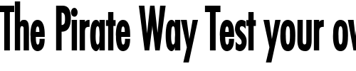 Font : Fuji-Thin-Bold Custom Text : The Pirate Way Test your own text here Click to download or to view this font on a tshirt that can be custom printed in Bali