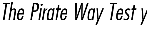 Font : FujiyamaLight-Italic Custom Text : The Pirate Way Test your own text here Click to download or to view this font on a tshirt that can be custom printed in Bali