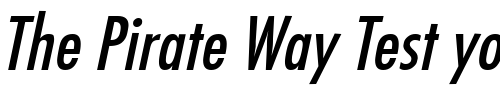 Font : FunctionCond-Italic Custom Text : The Pirate Way Test your own text here Click to download or to view this font on a tshirt that can be custom printed in Bali