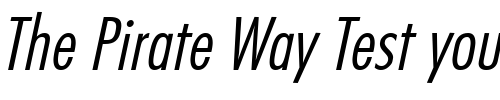 Font : FunctionCondLH-Italic Custom Text : The Pirate Way Test your own text here Click to download or to view this font on a tshirt that can be custom printed in Bali