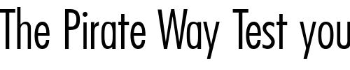 Font : FunctionCondTwoLight-Regular Custom Text : The Pirate Way Test your own text here Click to download or to view this font on a tshirt that can be custom printed in Bali