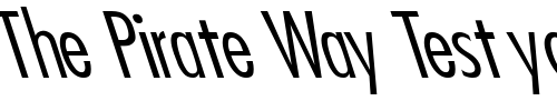 Font : Futura-Condensed-Light-Lefty Custom Text : The Pirate Way Test your own text here Click to download or to view this font on a tshirt that can be custom printed in Bali