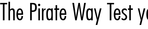 Font : Futura-CondensedLight Custom Text : The Pirate Way Test your own text here Click to download or to view this font on a tshirt that can be custom printed in Bali
