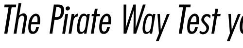 Font : Futura-CondensedLight-Italic Custom Text : The Pirate Way Test your own text here Click to download or to view this font on a tshirt that can be custom printed in Bali
