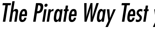 Font : Futura-LT-Condensed-Medium-Oblique Custom Text : The Pirate Way Test your own text here Click to download or to view this font on a tshirt that can be custom printed in Bali