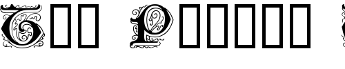 Font : Genzsch-Initials Custom Text : The Pirate Way Test your own text here Click to download or to view this font on a tshirt that can be custom printed in Bali