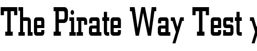Font : Geo-957-Thin-Normal Custom Text : The Pirate Way Test your own text here Click to download or to view this font on a tshirt that can be custom printed in Bali