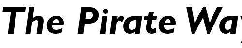 Font : Gill-SSi-Bold-Italic Custom Text : The Pirate Way Test your own text here Click to download or to view this font on a tshirt that can be custom printed in Bali