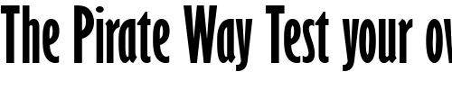 Font : Gill-Sans-MT-Ext-Condensed-Bold Custom Text : The Pirate Way Test your own text here Click to download or to view this font on a tshirt that can be custom printed in Bali