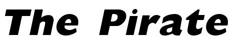 Font : GombusExtrabold-Italic Custom Text : The Pirate Way Test your own text here Click to download or to view this font on a tshirt that can be custom printed in Bali