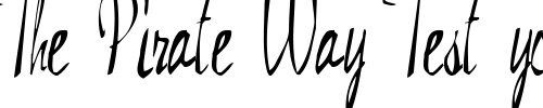 Font : Gram-Regular-ttstd Custom Text : The Pirate Way Test your own text here Click to download or to view this font on a tshirt that can be custom printed in Bali