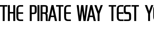 Font : HandelGotComDLig Custom Text : The Pirate Way Test your own text here Click to download or to view this font on a tshirt that can be custom printed in Bali